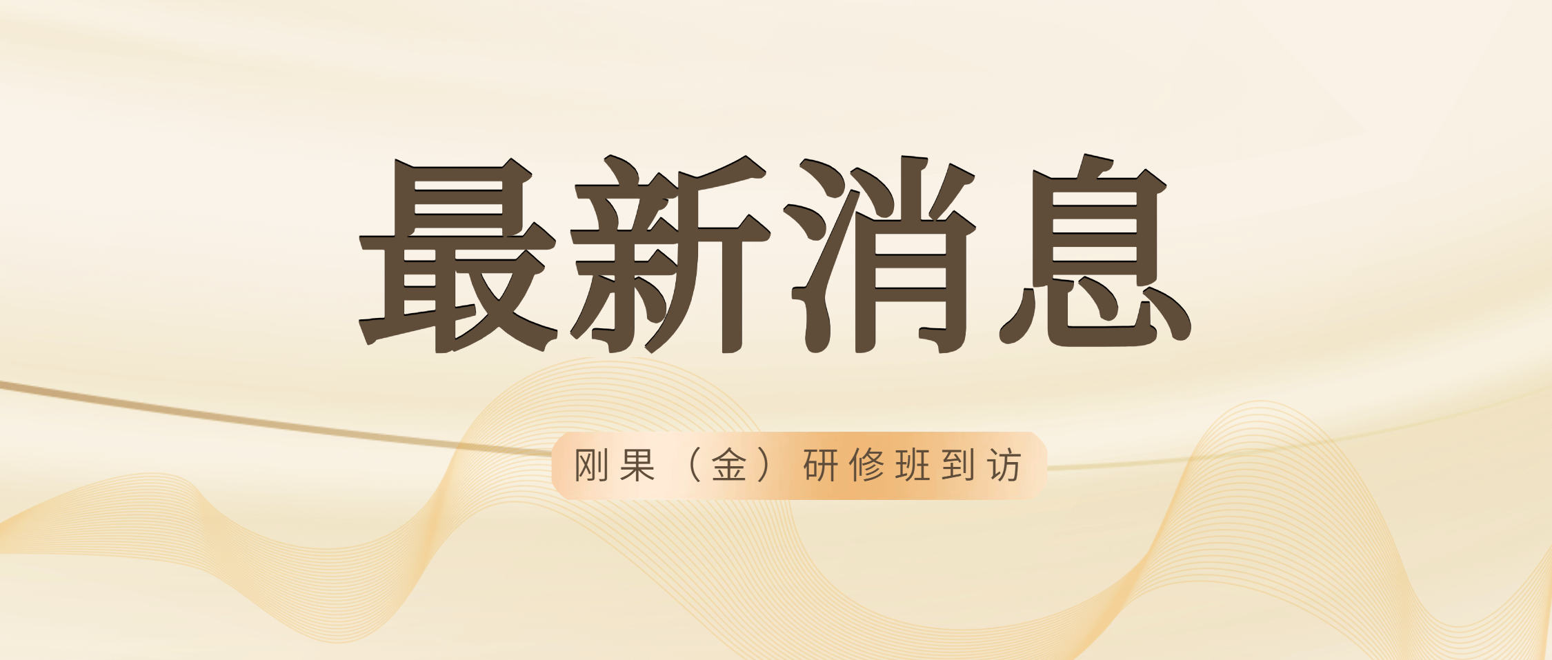 刚果（金）矿产开发与管理研修班到访必发集团app下载安装(中国游)官网集团 共绘矿业合作美好未来